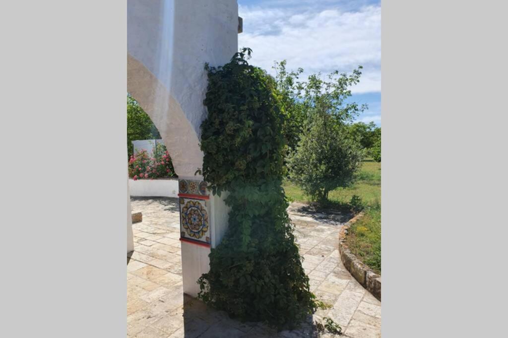 Trulli Relax A Martina Franca Villa Exterior photo